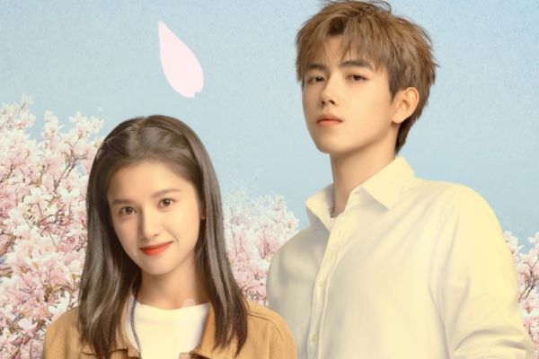 《点燃我，温暖你》讲述了什么故事?主演陈飞宇张婧仪个人资料?