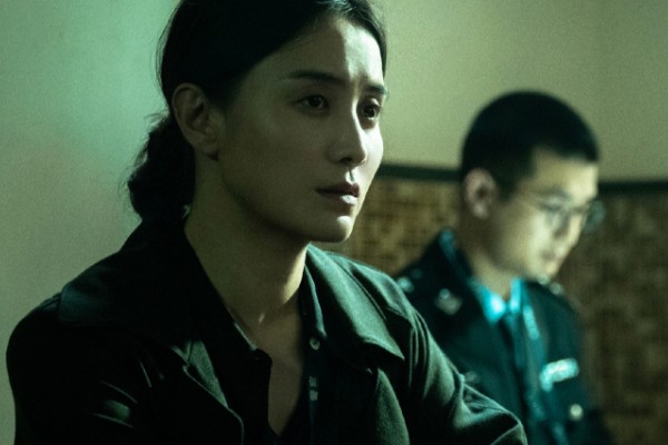 《回响》主要演员和人物角色关系?宋佳王阳继人世间后再演夫妻?