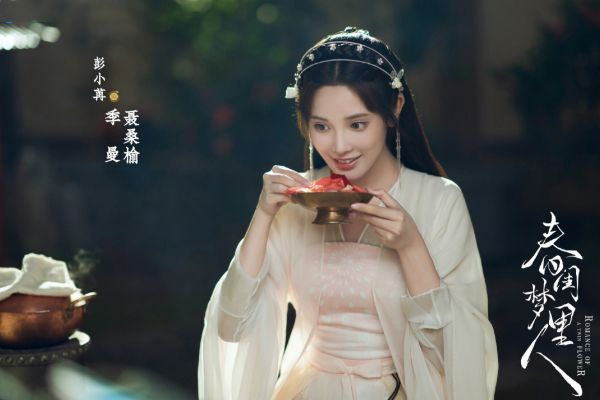 小说改编剧《春闺梦里人》主要演员人物角色关系?故事结局如何?