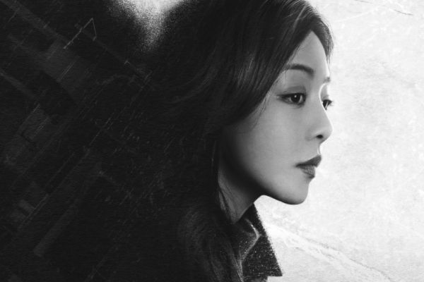 《黑土无言》电视剧故事剧情介绍?演员陈建斌胡军邓家佳倾力合作?