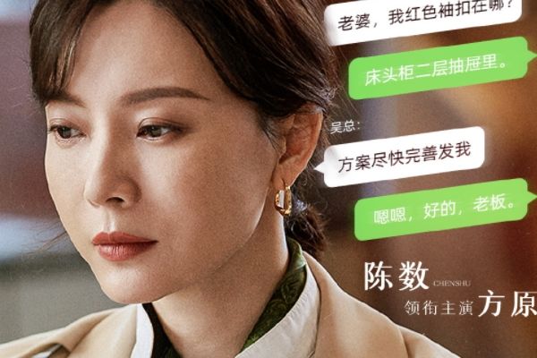 《第二次拥抱》讲述了什么故事?演员陈数马苏饰演人物角色介绍?