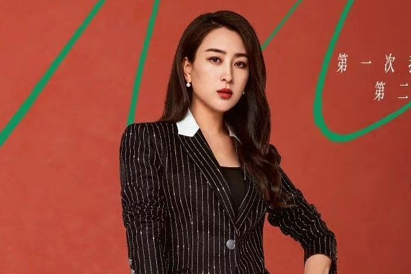 《第二次拥抱》讲述了什么故事?演员陈数马苏饰演人物角色介绍?