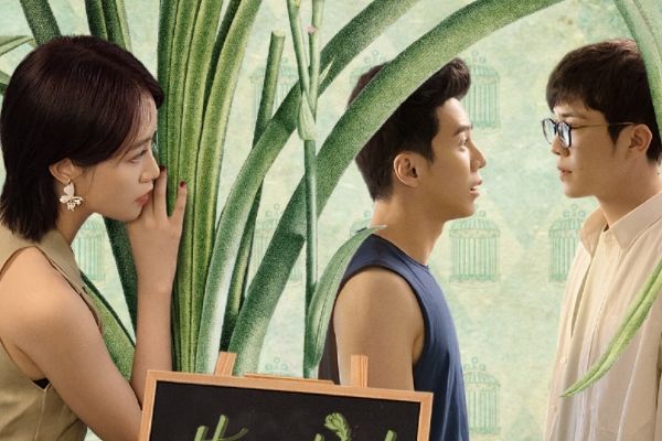 《芳心荡漾》三姐妹上演抓马狂想曲?秦岚王子异等8位实力派加盟?