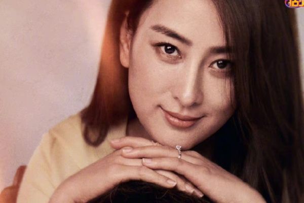 电视剧《第二次拥抱》故事剧情介绍?演员陈数张歆艺马苏周放主演?
