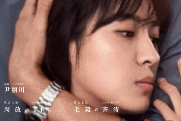 电视剧《第二次拥抱》故事剧情介绍?演员陈数张歆艺马苏周放主演?