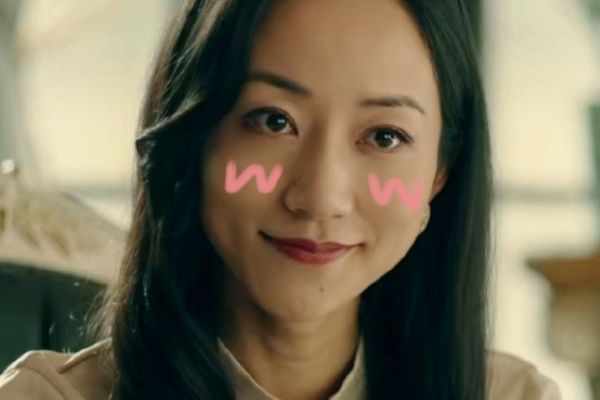 电视剧《前行者》韩雪饰演的陆怡是什么样的人?后期黑化成反派?