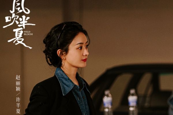 《野蛮生长》改名《风吹半夏》讲了什么故事?赵丽颖又一转型之作?