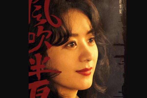 《风吹半夏》制作团队强劲演员阵容豪华?许半夏最终大结局如何?