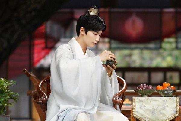 电视剧《择君记》邢昭林饰演裴衍祯黑化?演员王以纶扮演宋席远?