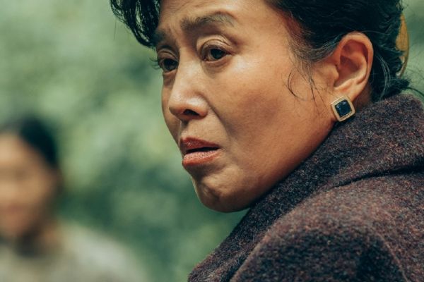 《回来的女儿》幕后主创团队全员熟面孔?梅婷代旭丁嘉丽等主演?