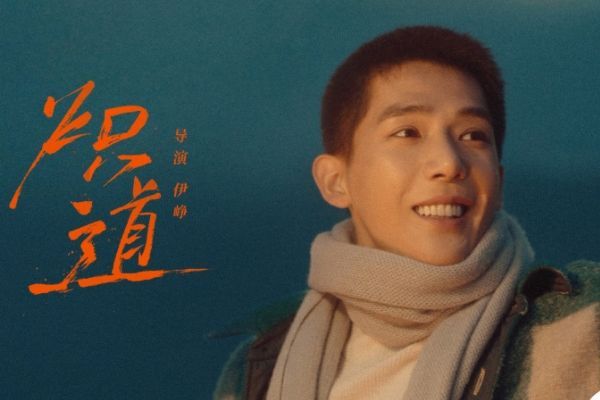 电视剧《炽道》主要讲了什么故事?金晨王安宇饰演人物角色关系?