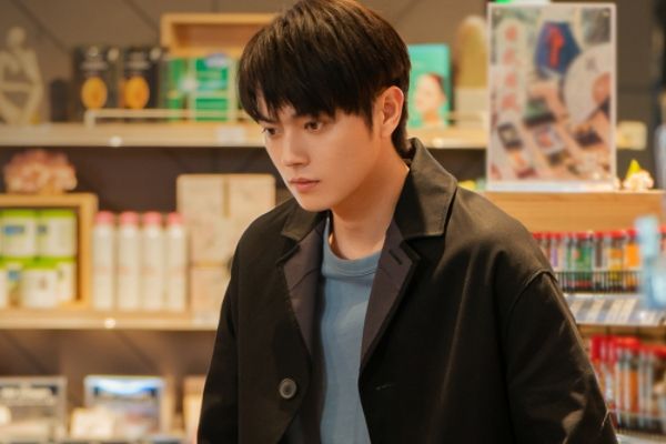 《爱的二八定律》杨幂演绎协议结婚先婚后爱故事?搭档许凯姐弟恋?