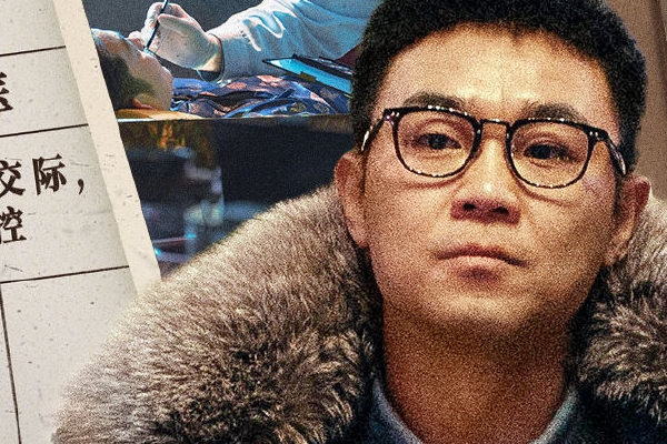 电视剧《双探》是小说改编还是由真实案件改编?大鹏段奕宏主演?