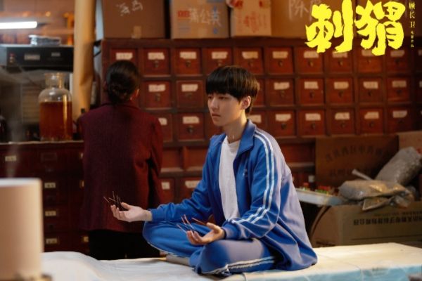 顾长卫又一新作《刺猬》改编自郑执小说仙症?葛优王俊凯首搭档?