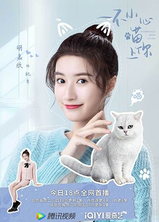 一不小心喵上你纪年