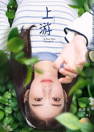 上游林柚