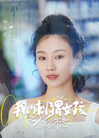 我的刺猬女孩之念念不忘张雯雯