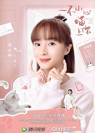 一不小心喵上你周天