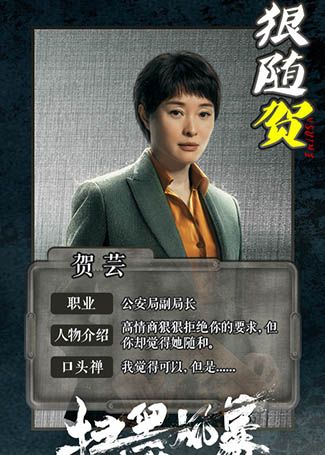 扫黑风暴贺芸