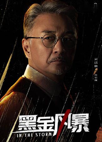 黑金风暴高绍刚