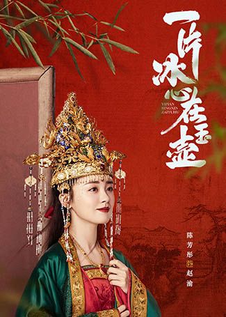 一片冰心在玉壶赵渝