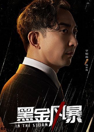 黑金风暴陶世英