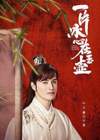 一片冰心在玉壶宁晋