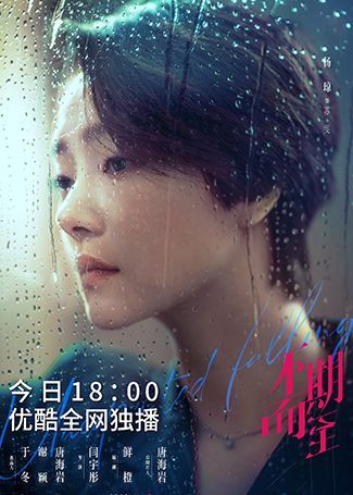 不期而至苏雯
