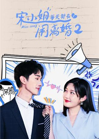 宋小姐每天都在闹离婚2