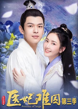 医妃难囚第三季