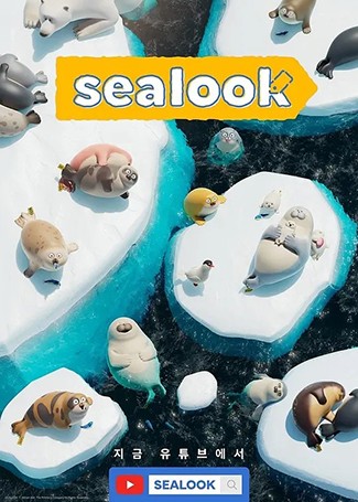 海豹看看