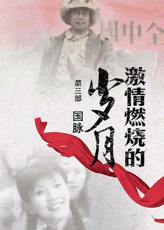 激情燃烧的岁月3