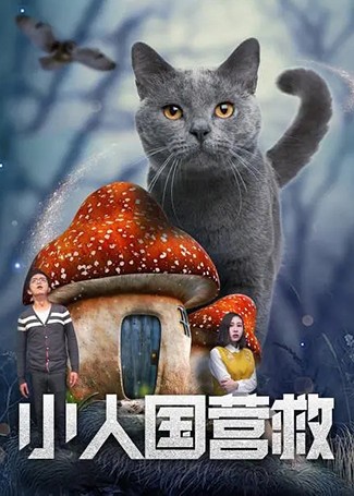 小人国营救