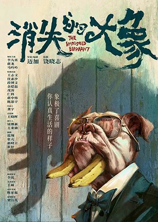 消失的大象