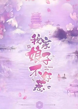 我家娘子不好惹