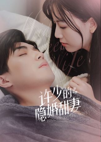 许少的隐婚甜妻第二季
