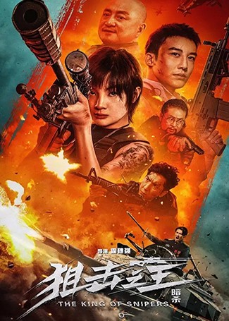 狙击之王：暗杀