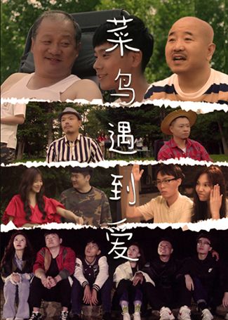 菜鸟遇到爱
